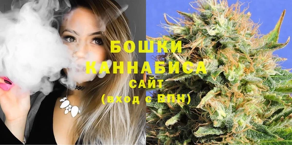 PSILOCYBIN Алексеевка