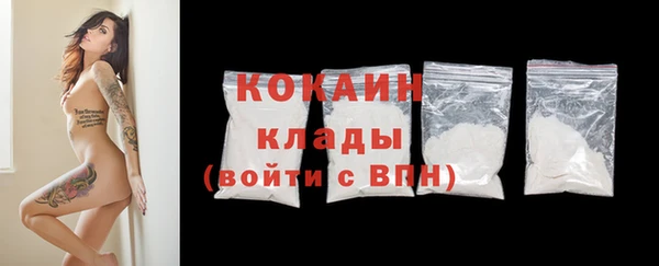 кокс Алексин