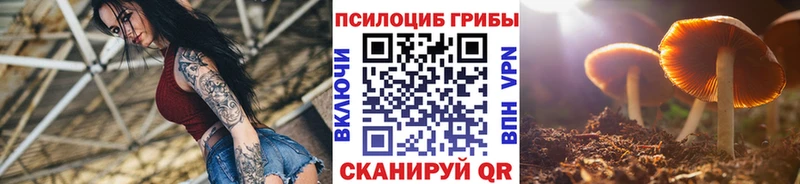 магазин продажи наркотиков  Углич  Галлюциногенные грибы Cubensis 