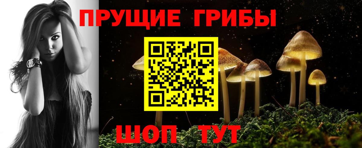 Галлюциногенные грибы Cubensis  как найти   Углич  Вход с VPN  Галлюциногенные грибы мухоморы 