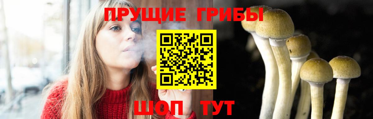 Галлюциногенные грибы Magic Shrooms Углич